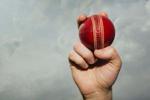 various-ball-cricket-sport