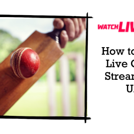 How to Watch Live Cricket Streaming in UAE